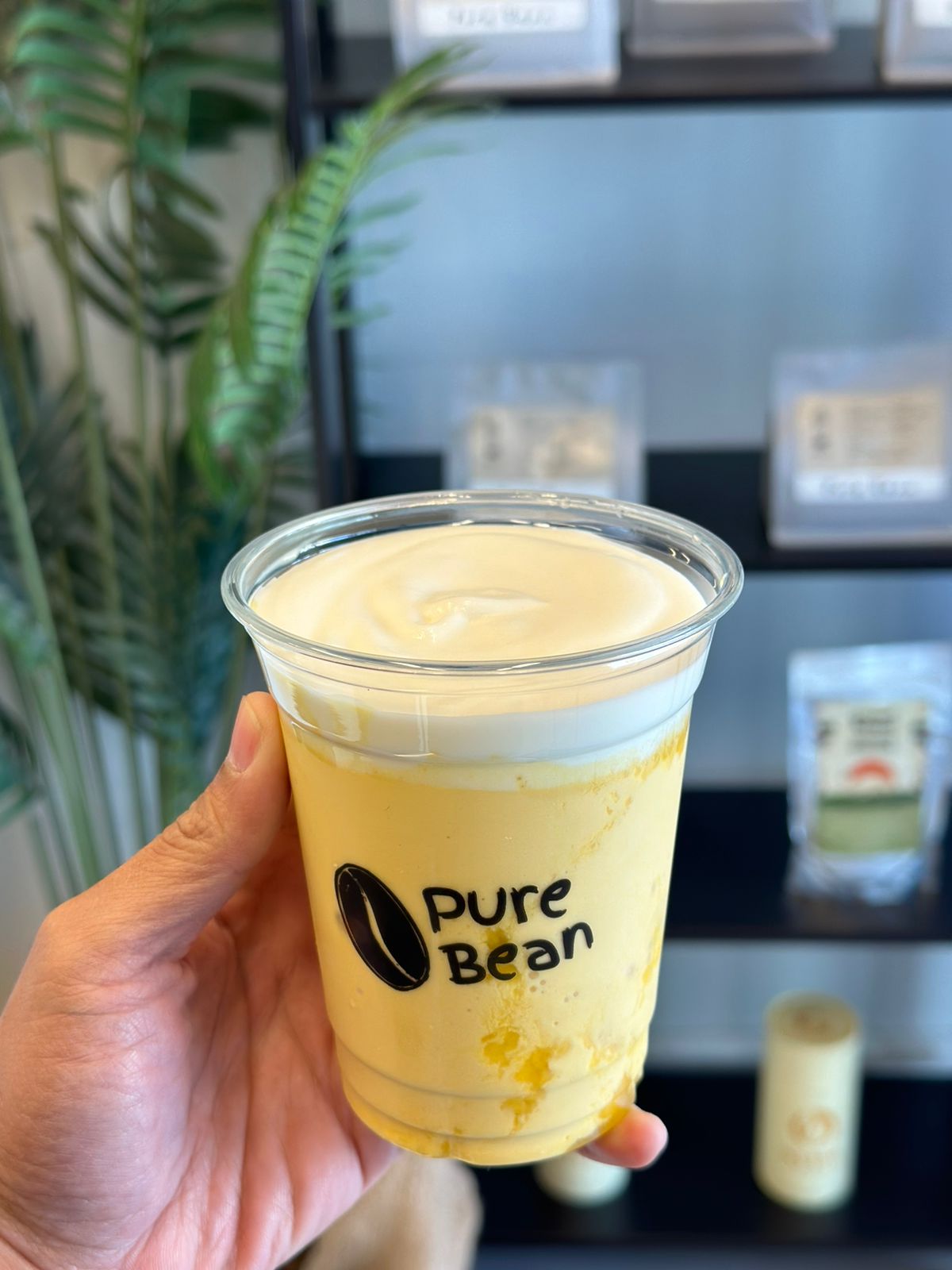 Mango Mundo